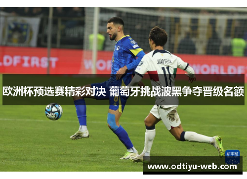 欧洲杯预选赛精彩对决 葡萄牙挑战波黑争夺晋级名额