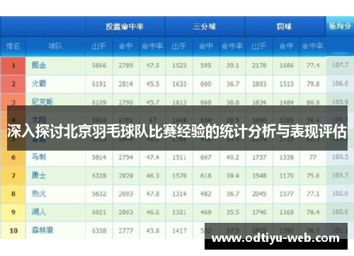 深入探讨北京羽毛球队比赛经验的统计分析与表现评估