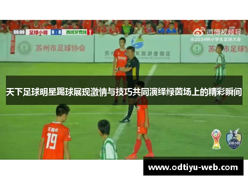 天下足球明星踢球展现激情与技巧共同演绎绿茵场上的精彩瞬间